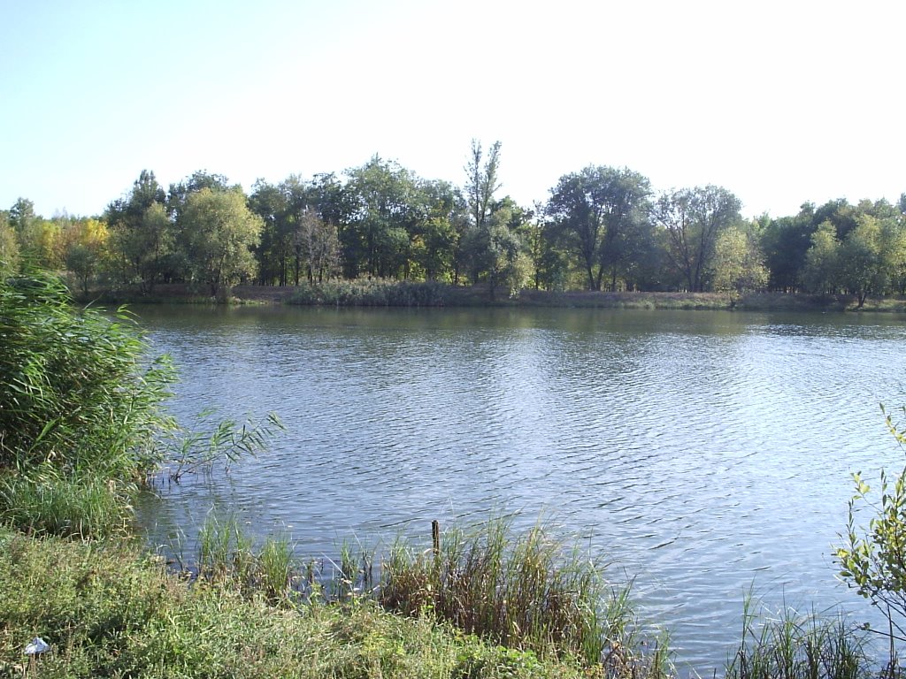 р. Конка (Кінська), став "Штани"