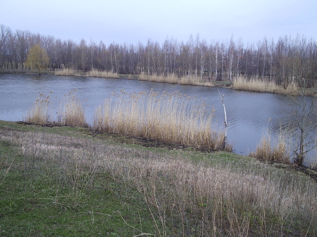 р. Конка, став "Бублик"