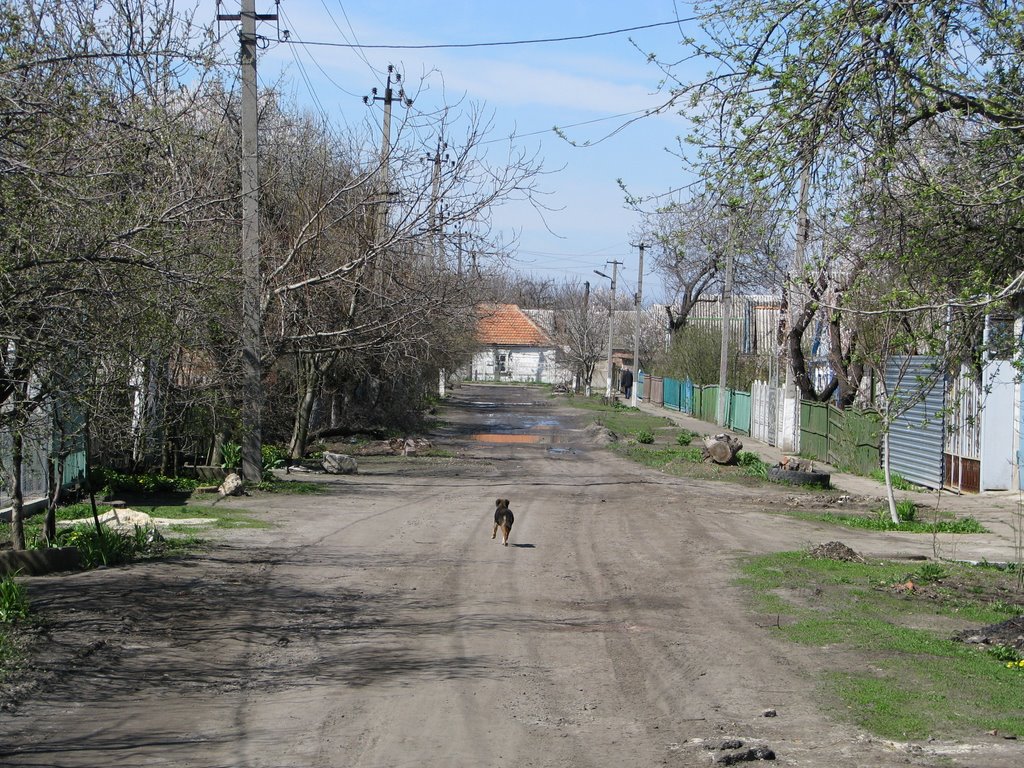 ул. Мичурина на запад