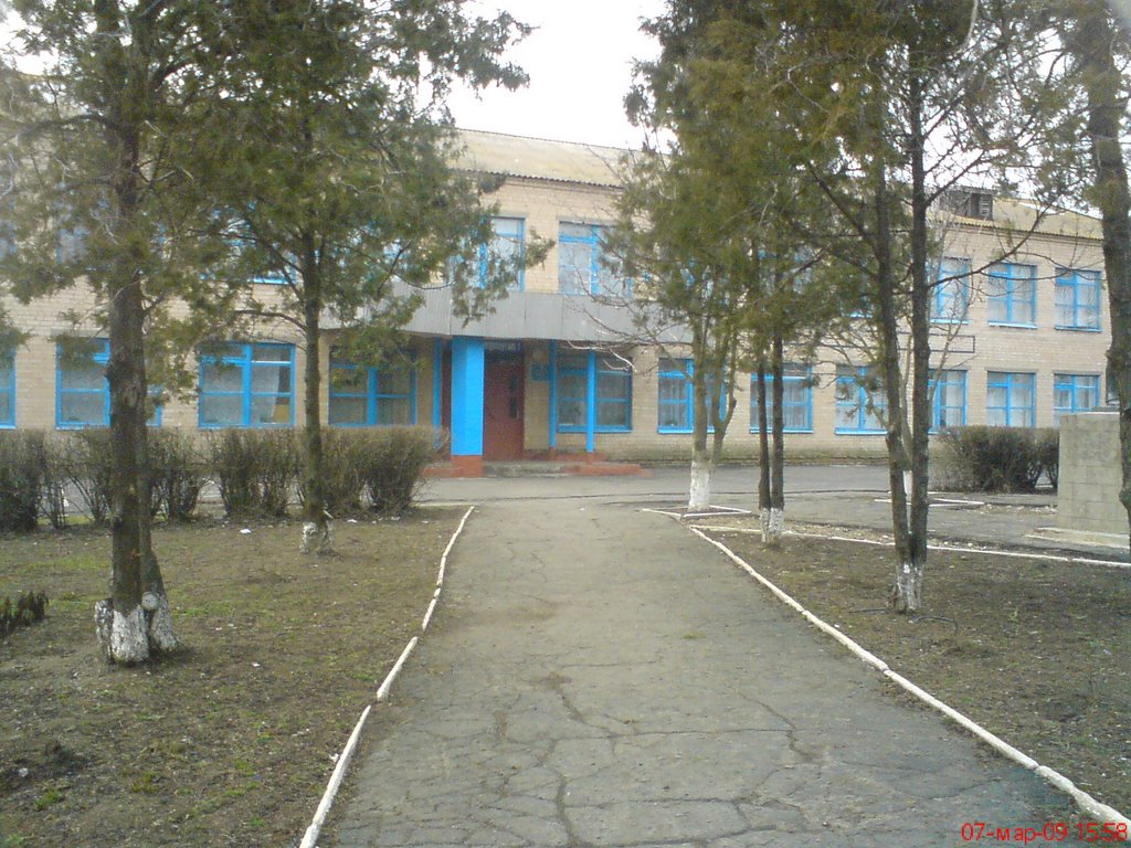 ШКОЛА2