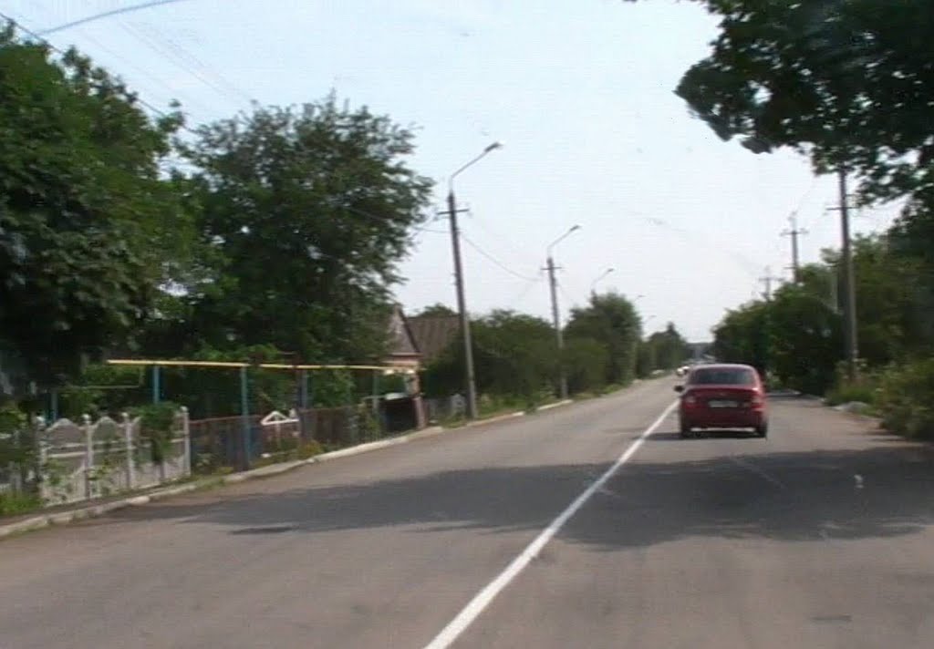 Транзитом из Крыма в Казань через Приморск. 2010г.