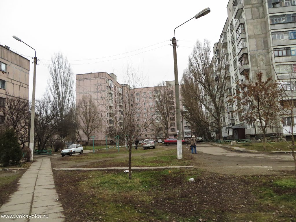 город Токмак