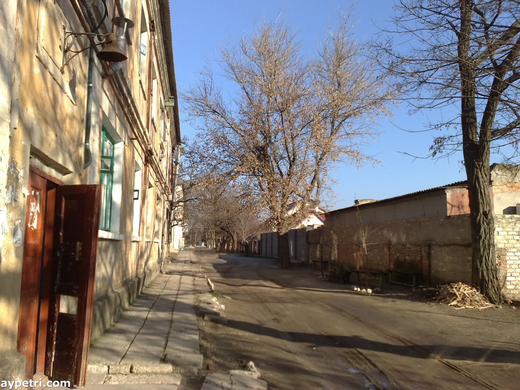 двор