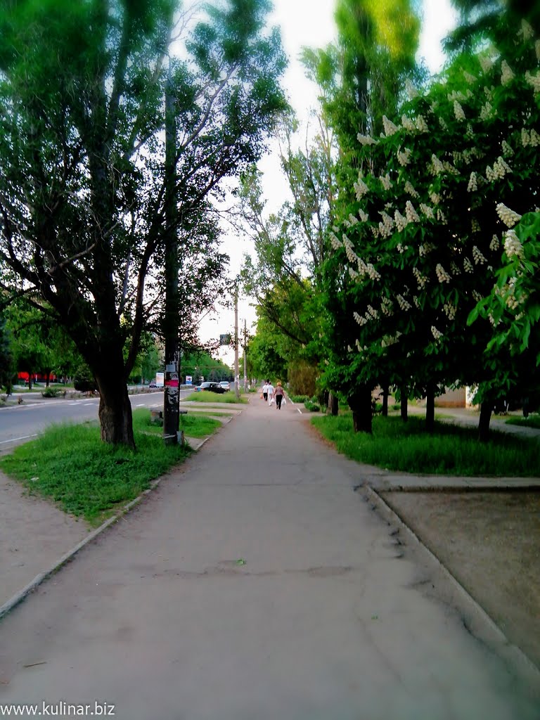 Токмак