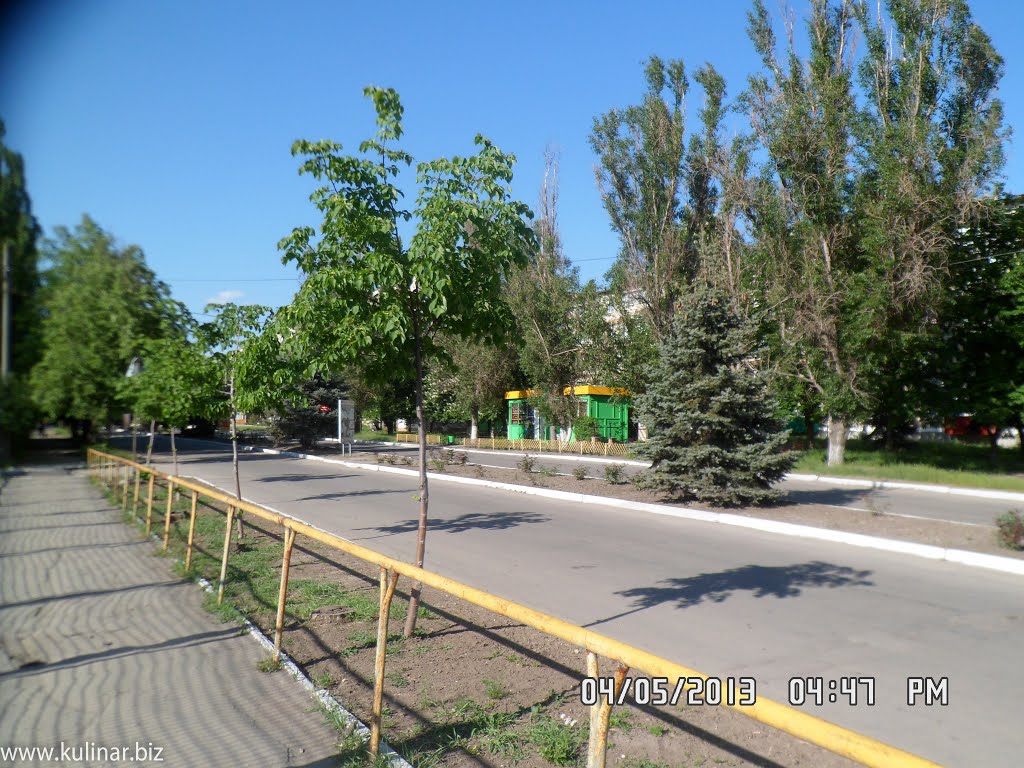 Город Токмак