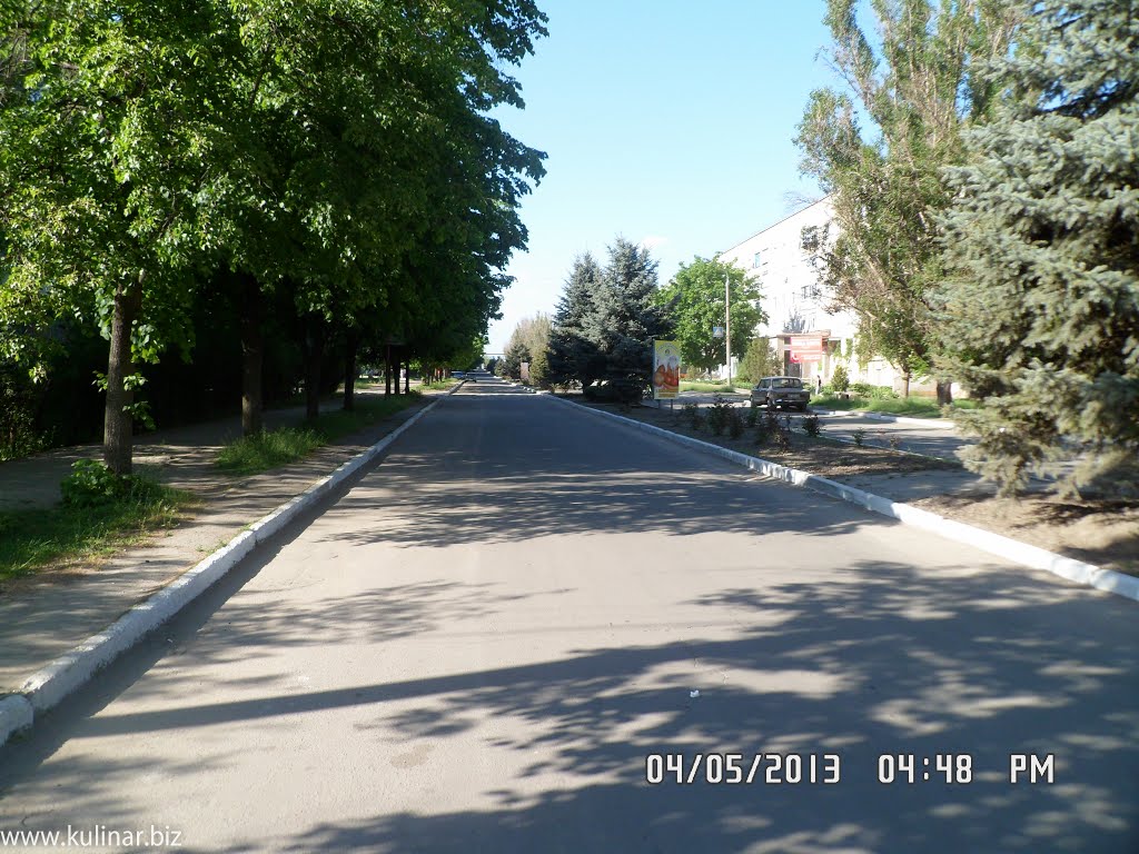 Город Токмак