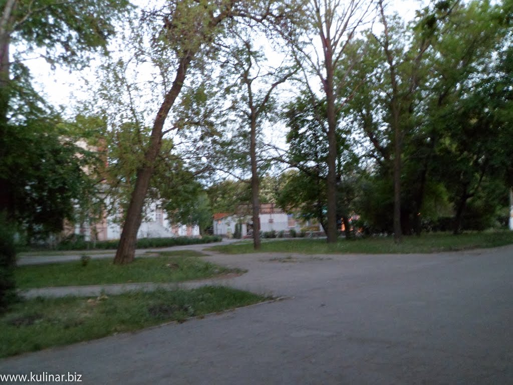 Город Токмак Запорожская область