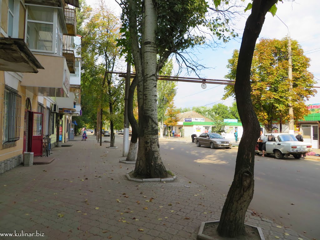 Токмак