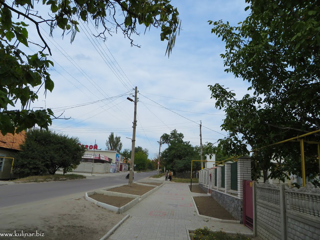 Токмак