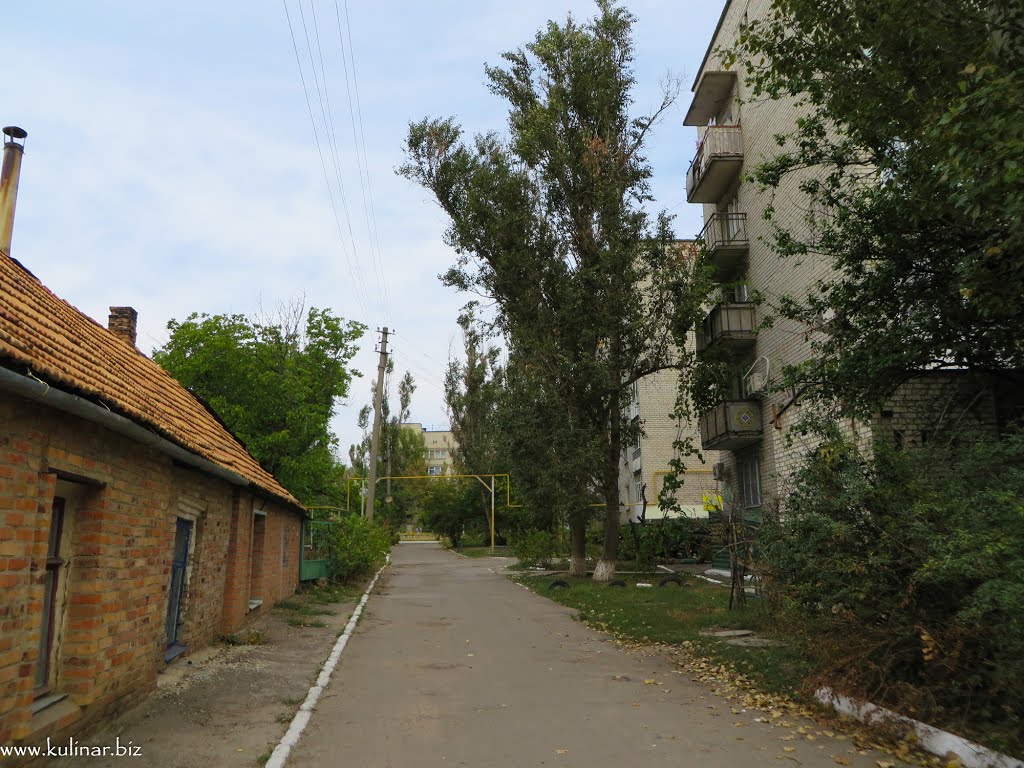 Токмак