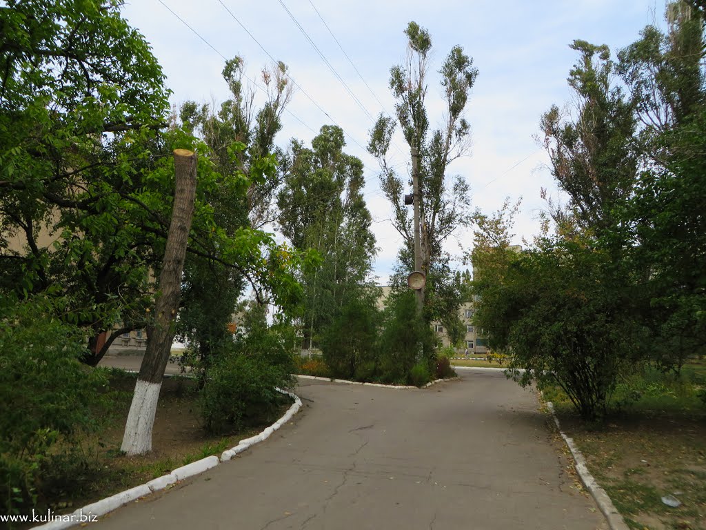 Токмак