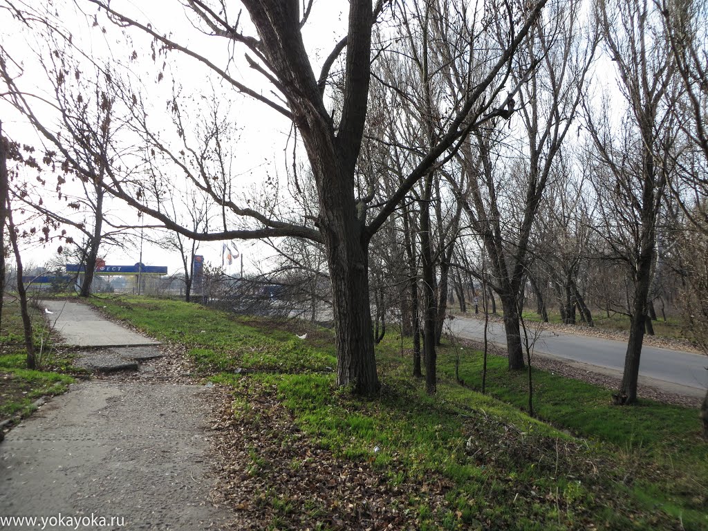 город Токмак