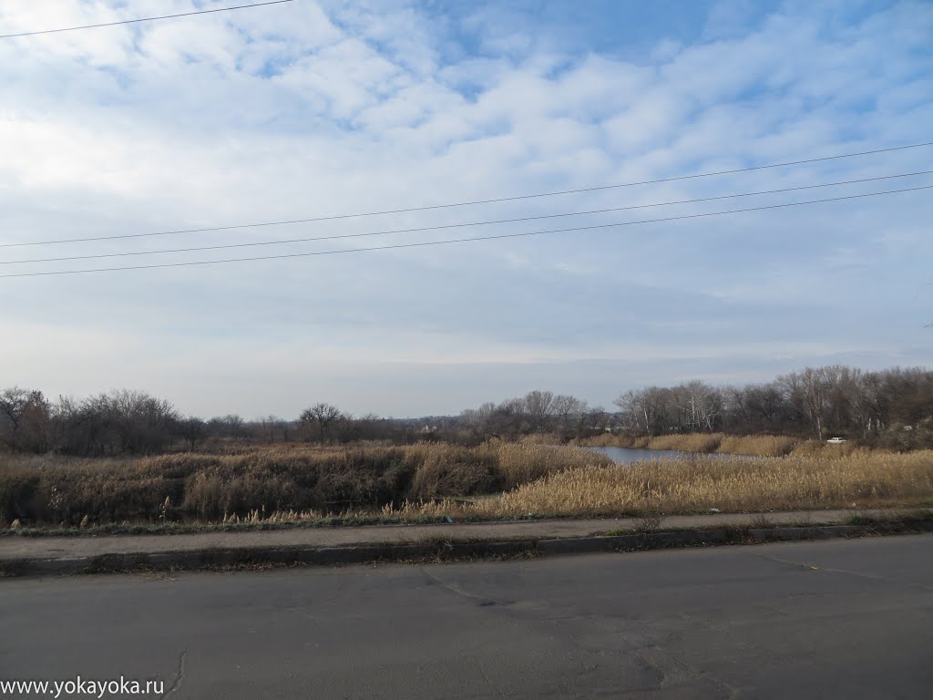 город Токмак
