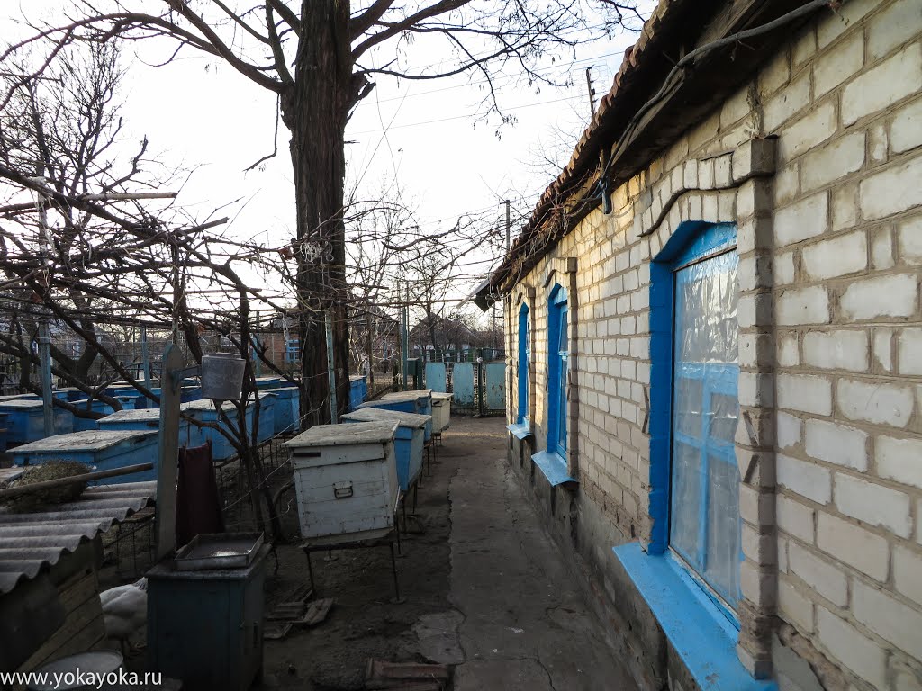 город Токмак