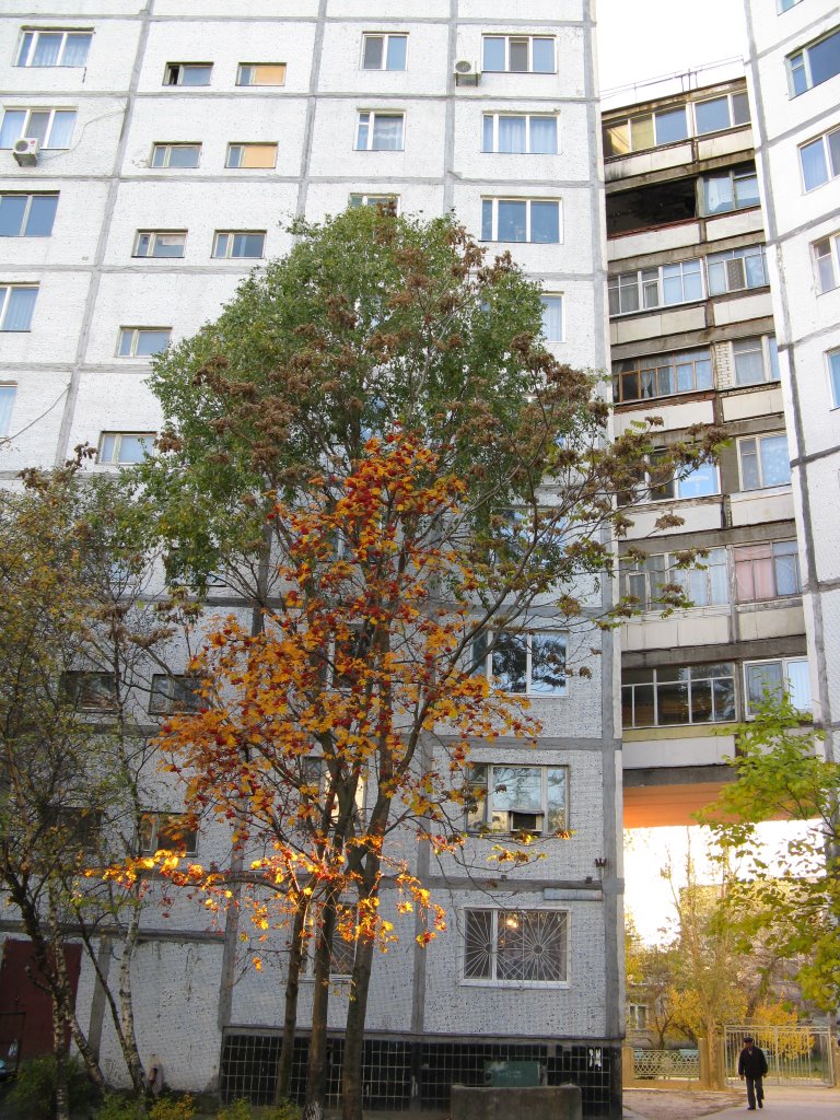 Советская д.19