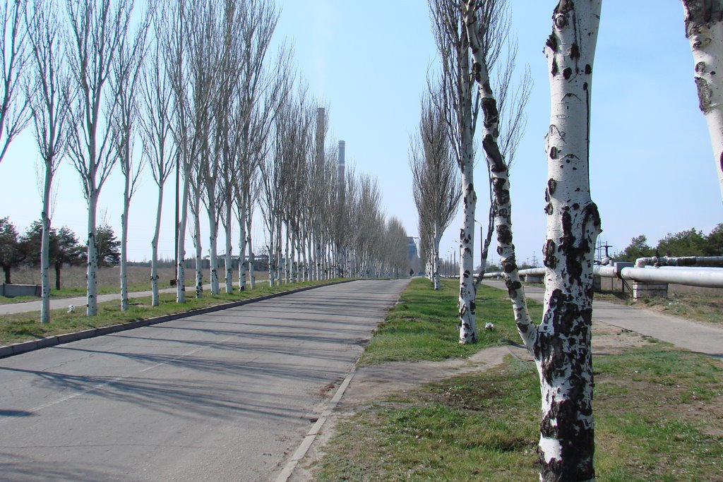 Дорога на ГРЭС