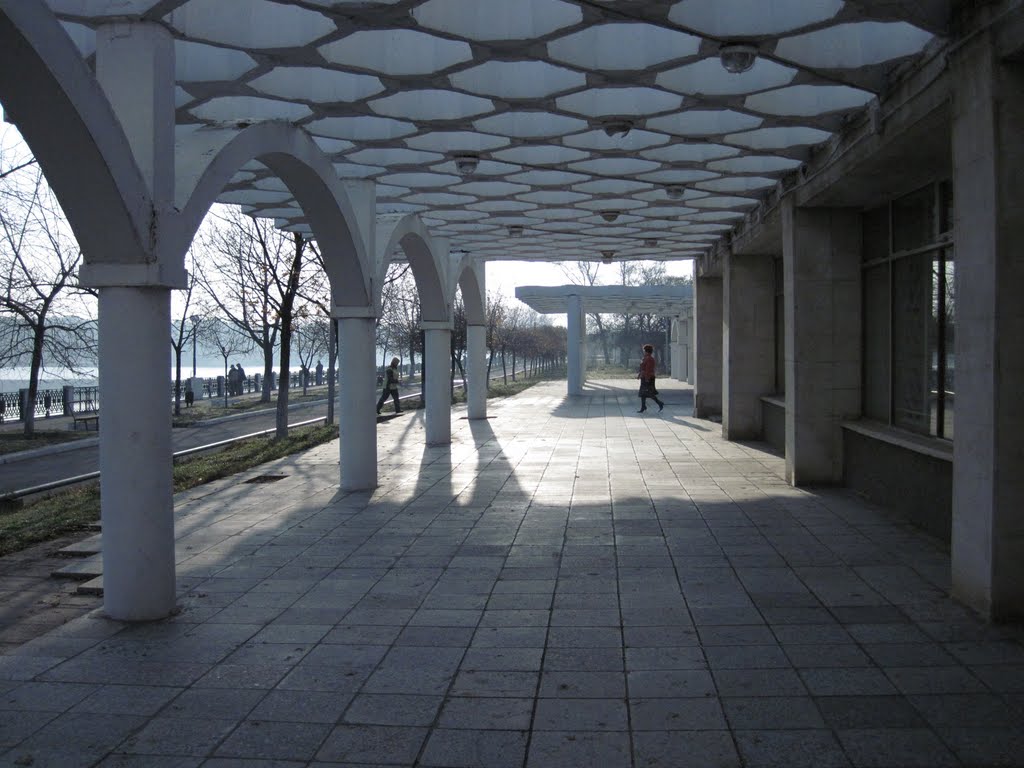 Энергодар 2010