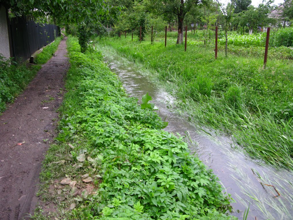 Bogorodchany 27.06.10