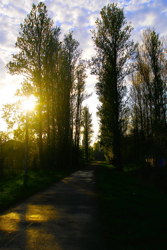 Park