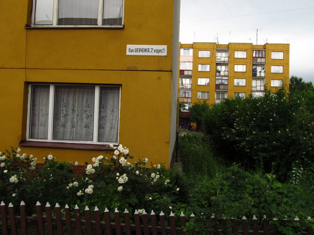 смт. Богородчани, вул. Шевченка, 7 корп. 5 ..