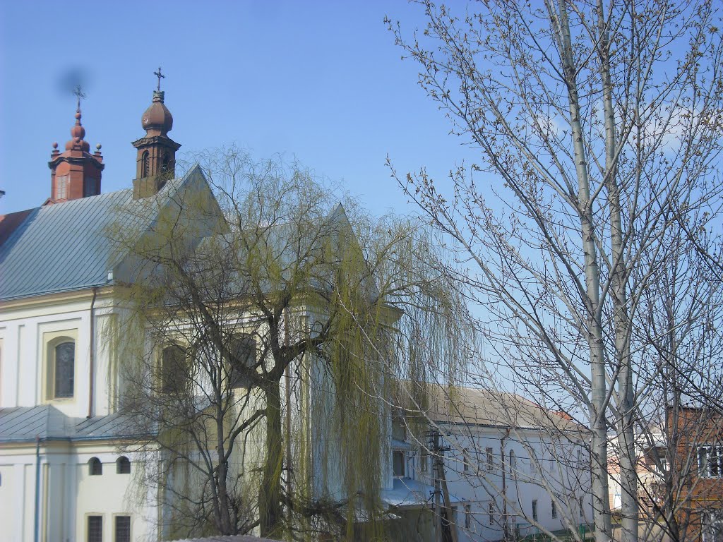 Панорама с трибун