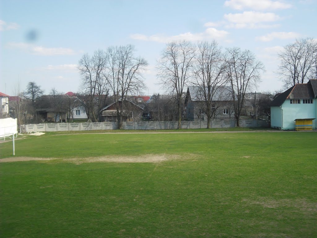 Панорама с трибун