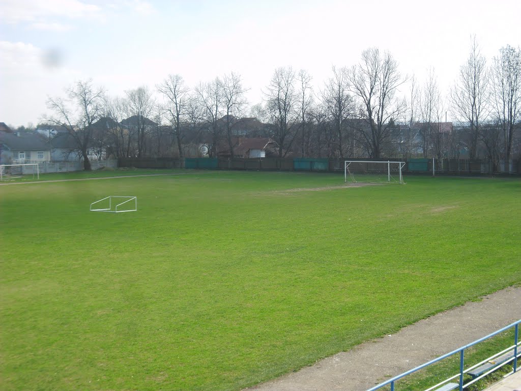 Панорама с трибун