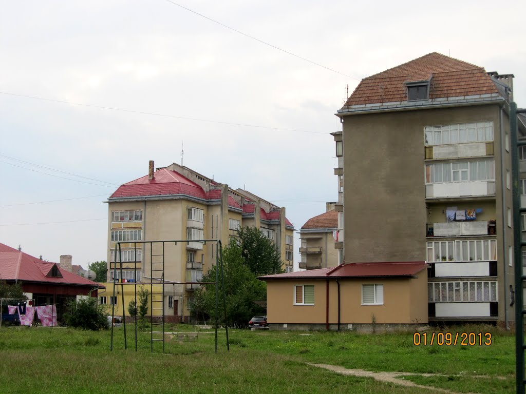 Польські будинки