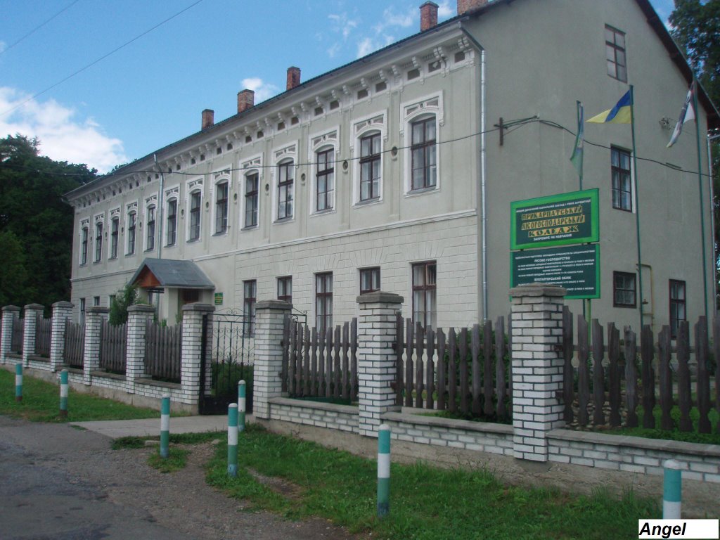 Коледж