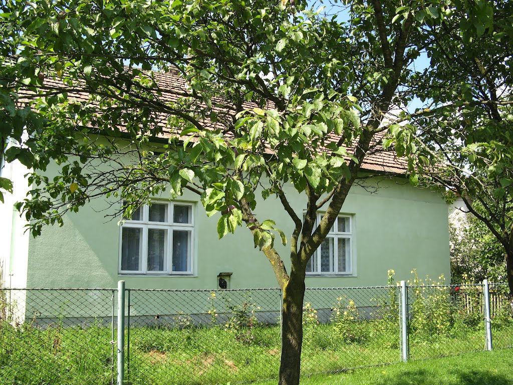 м. Болехів