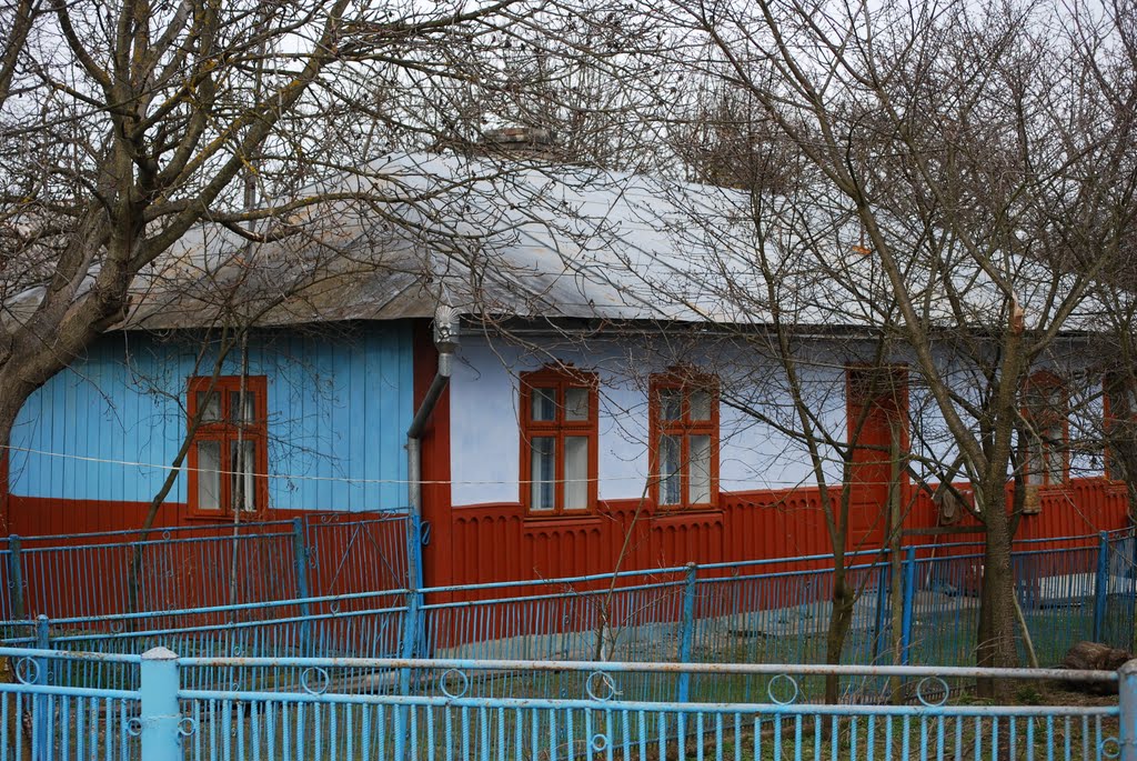 Хата 50-х років 20 ст.