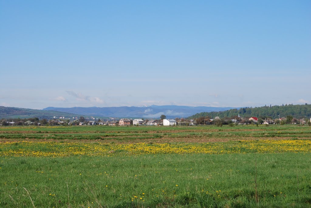 Панорама села