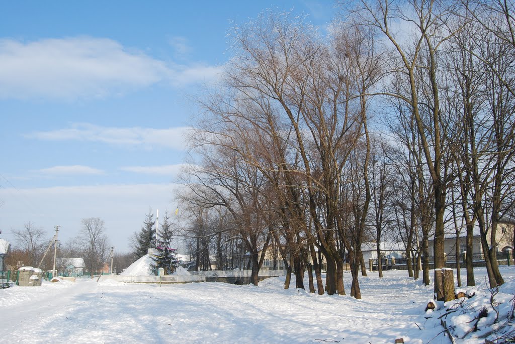 Фитьків зимою