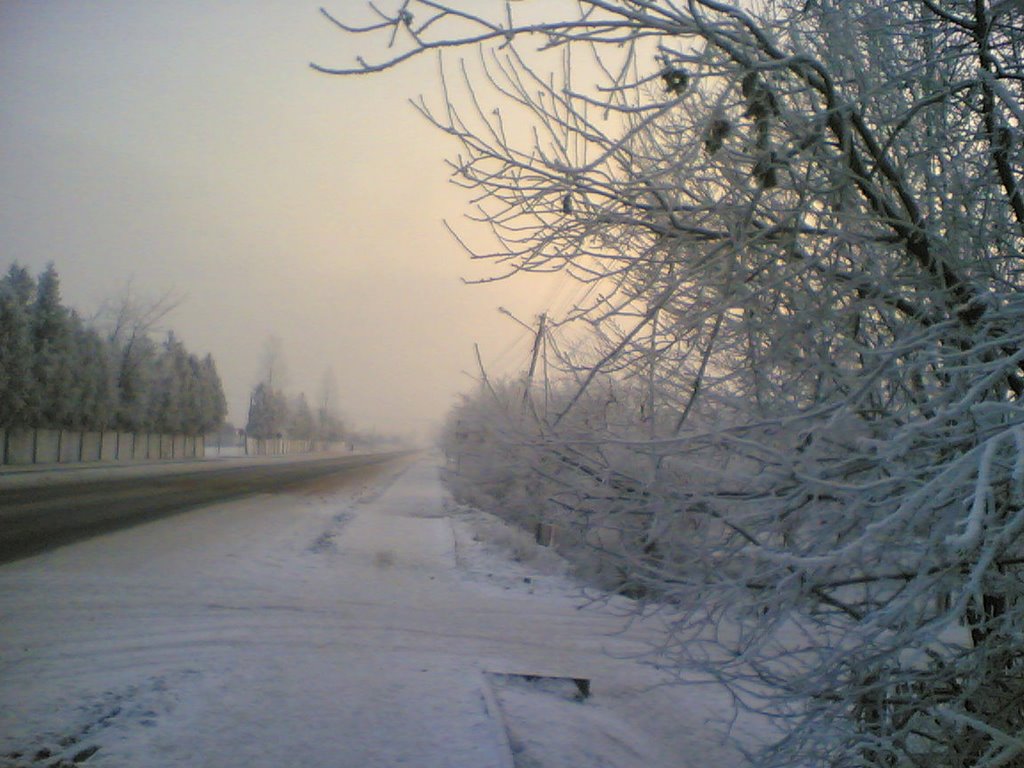 Beautiful but cold winter