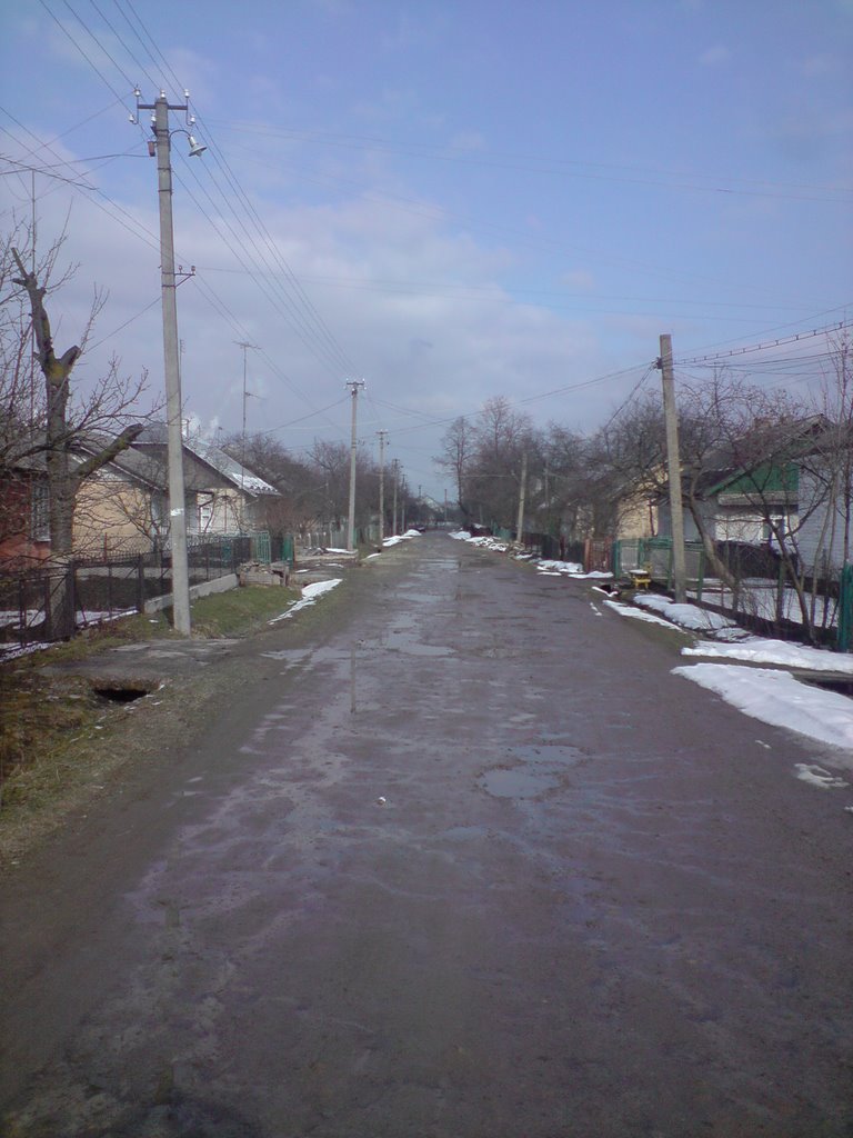 Street in spring