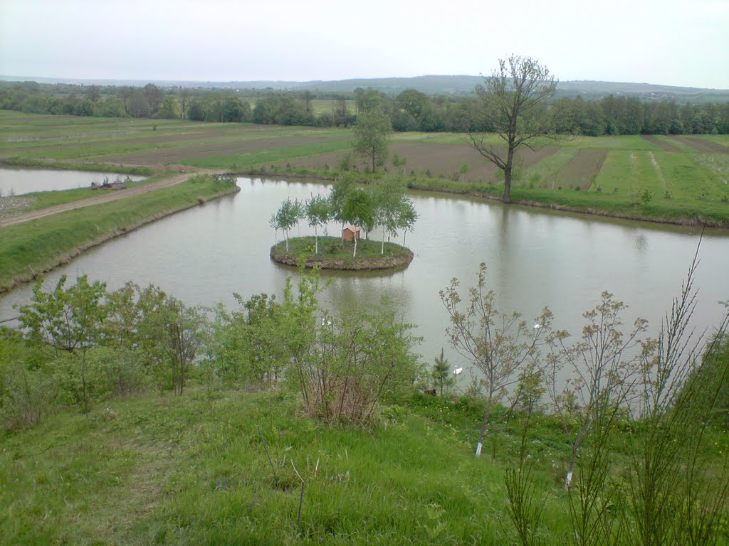 Swans home