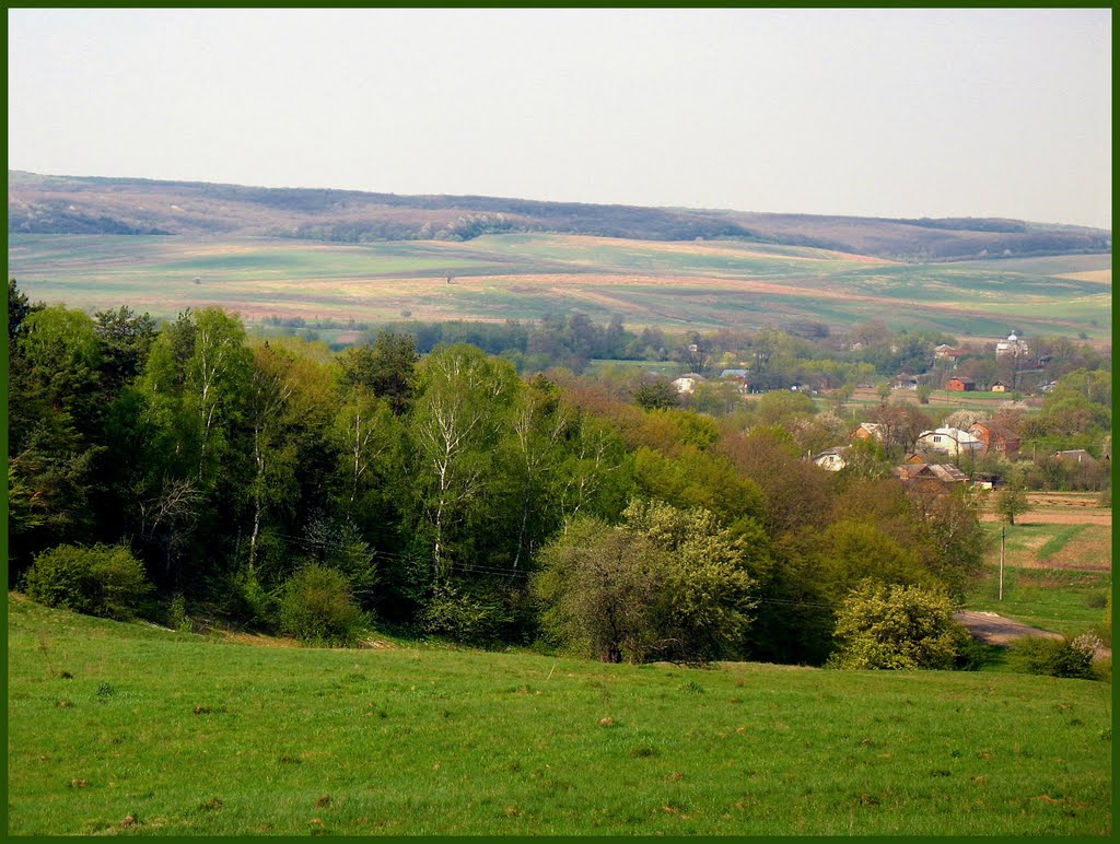 Букачівці.
