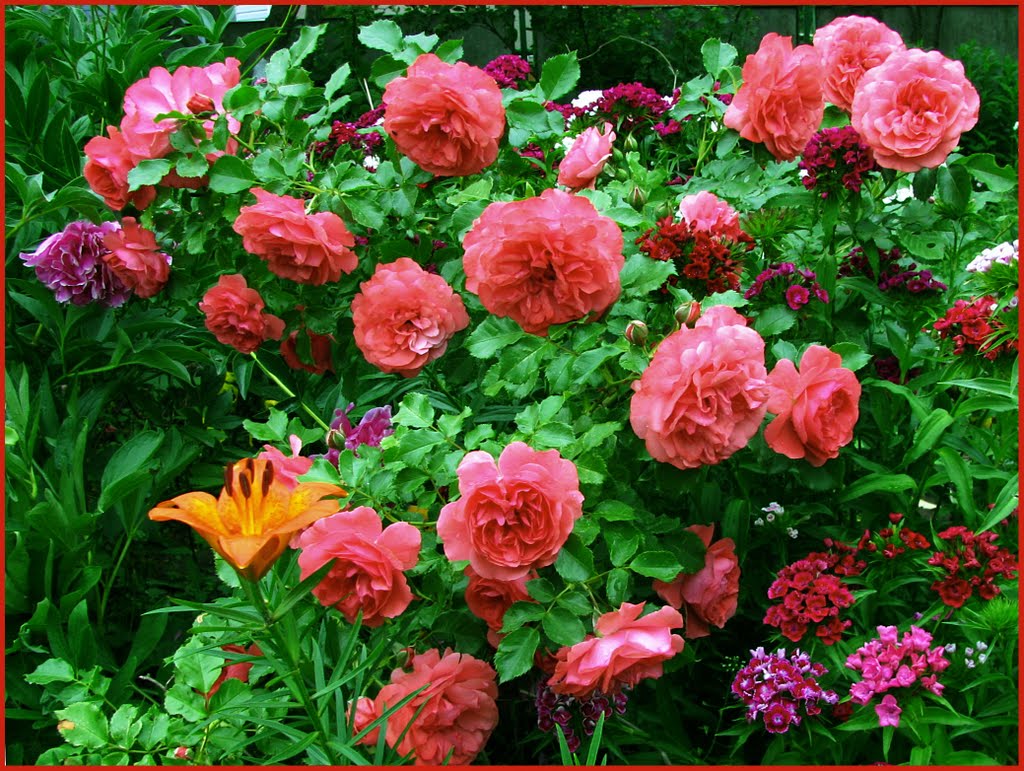 flower
