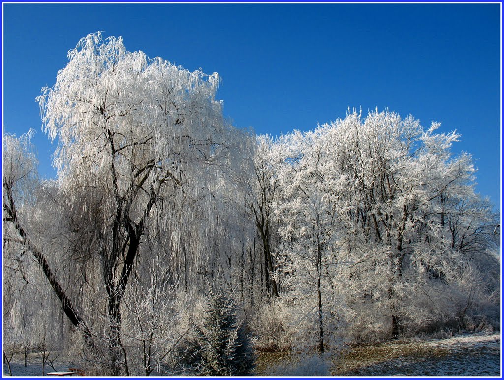 Park. Bukachivtsi.