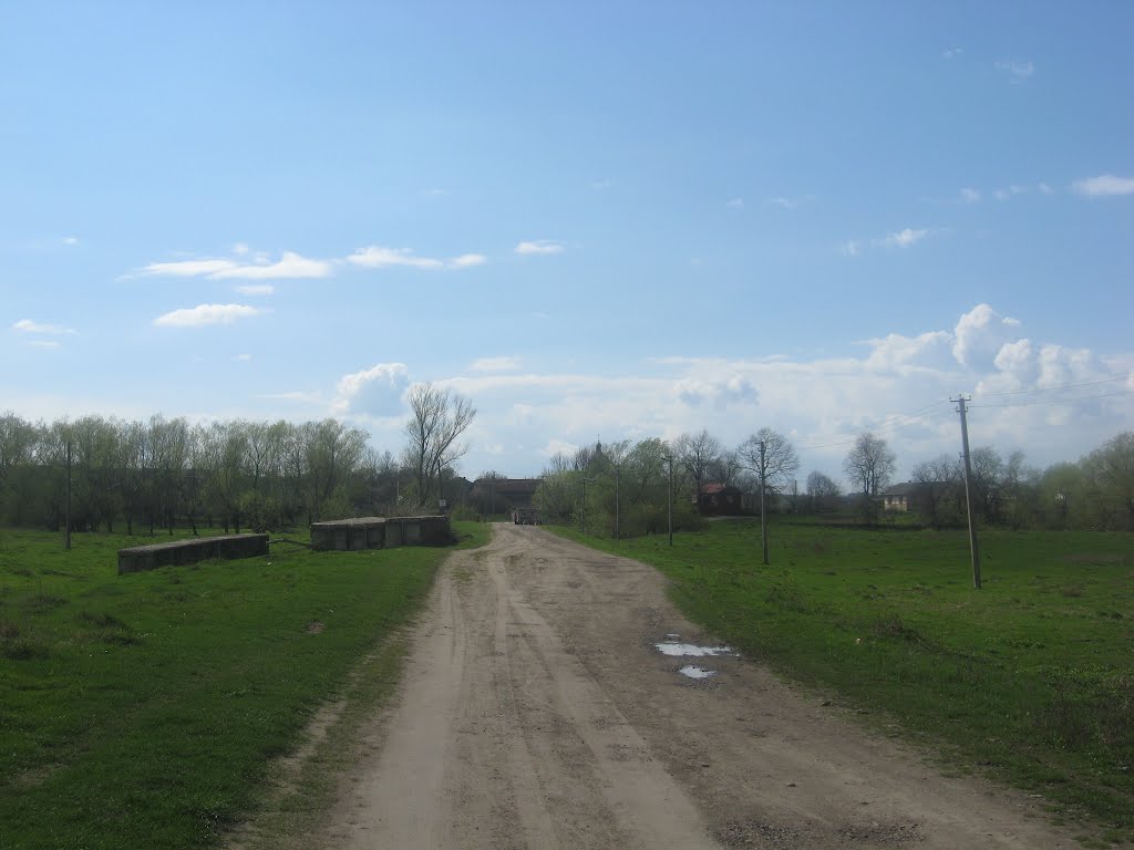 Дорога до села Посвірж