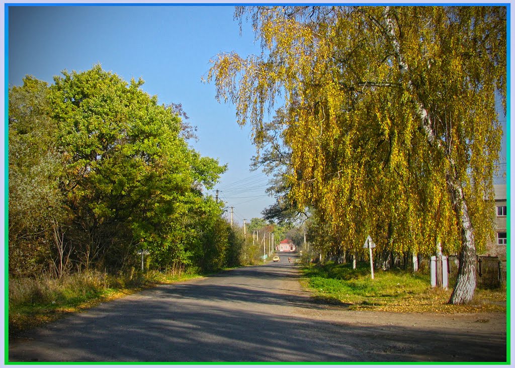 Букачівці. Вул.Чорновола