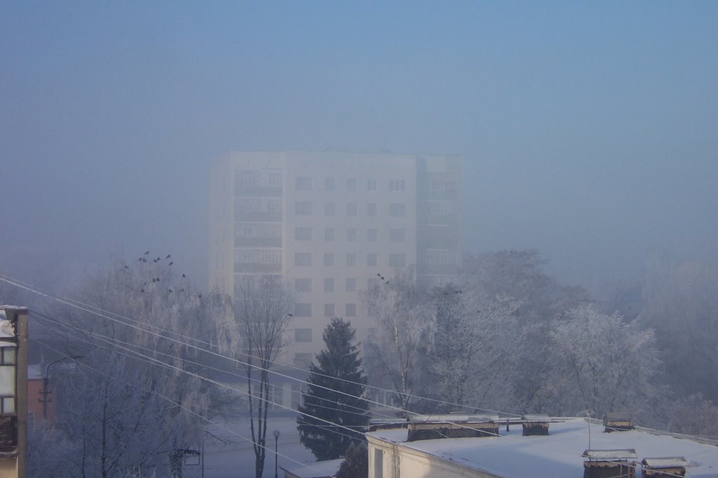 Burhstyn.Winter.2006