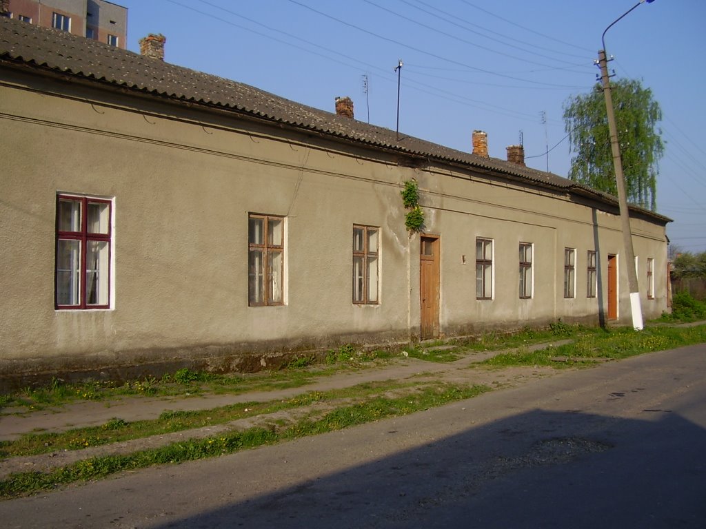 И на камнях растут деревья. Чистотіл