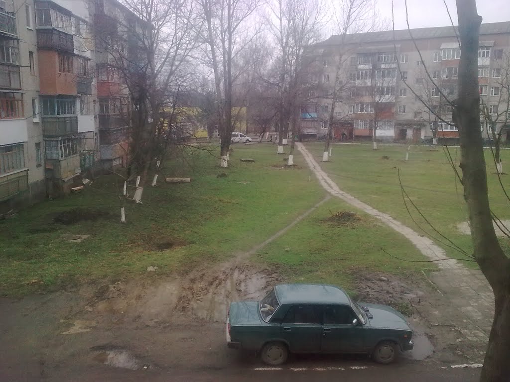 Стуса 12, вид з вікна