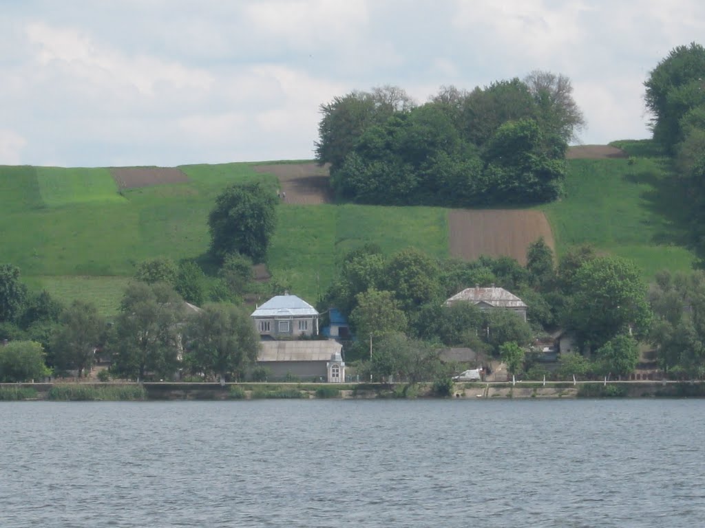Above the reservoir shore village Korystovychi