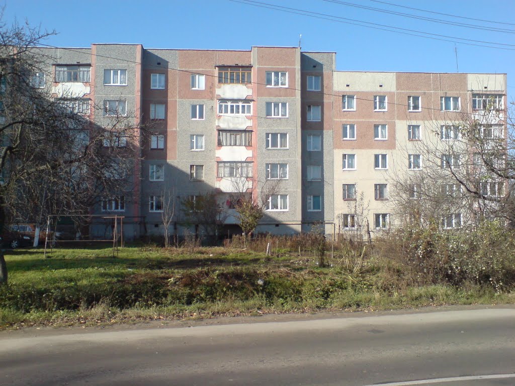 будинки