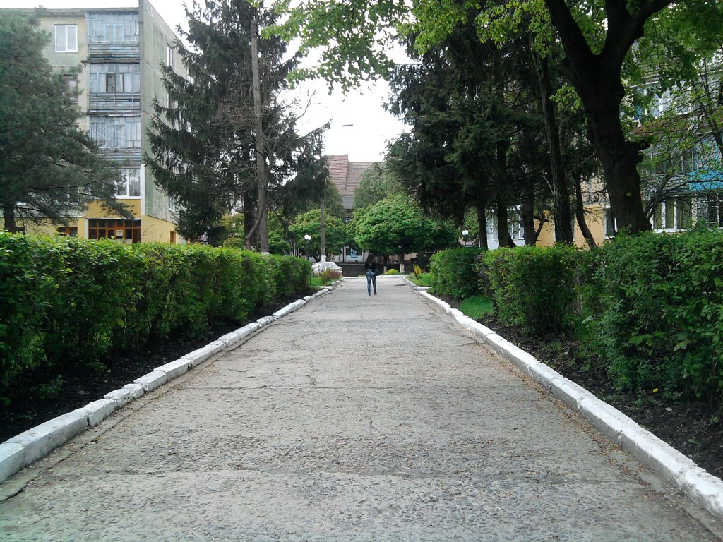 Весна 2011