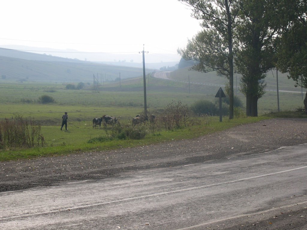 Ukraińska droga przez ukraiński step szeroki