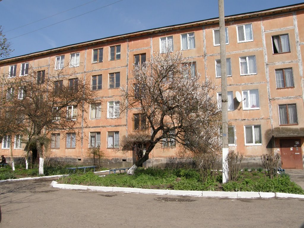 Shukhevych, 14