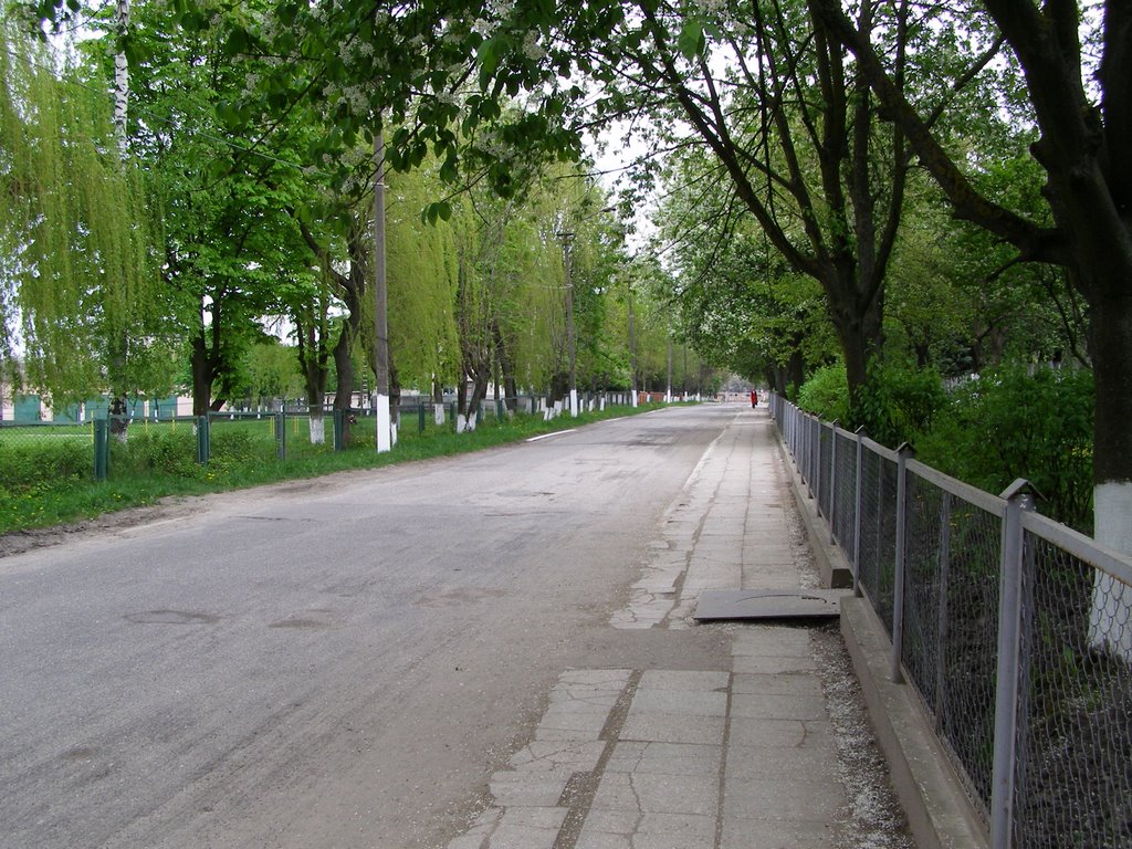 вул.Є.Коновальця